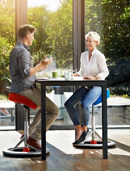 Backapp Balansstoel - Afbeelding 3